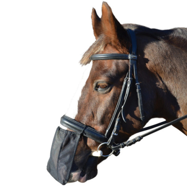 HY Equestrian Nose Shield